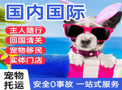 伊春航空快运国际宠物托运 【国